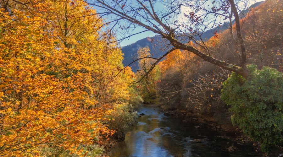 Entraînement par intervalles : optimisez votre temps d&rsquo;entraînement